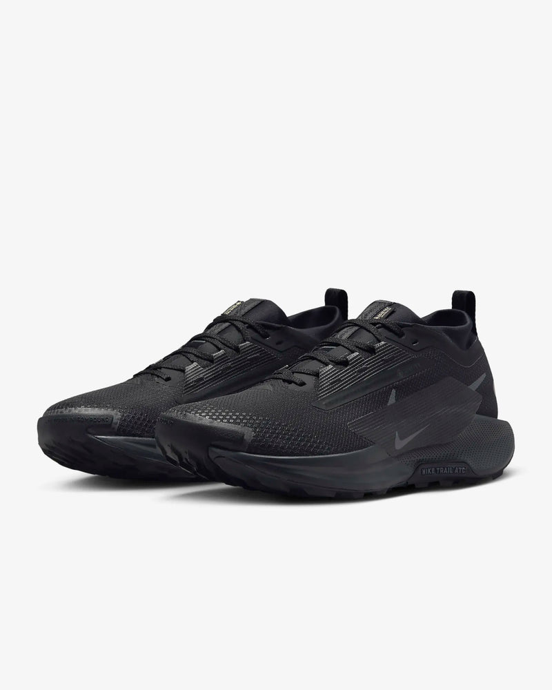 Tênis Nike Pegasus Trail 5 GORE-TEX Preto